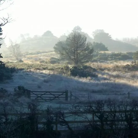 Home In Dorset, Near Jurassic Coast And Arne Wareham Exterior foto