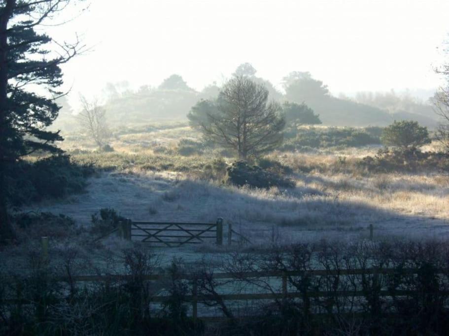 Apartment In Dorset, Near Jurassic Coast And Arne Wareham