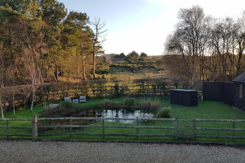 In Dorset, Near Jurassic Coast And Arne *