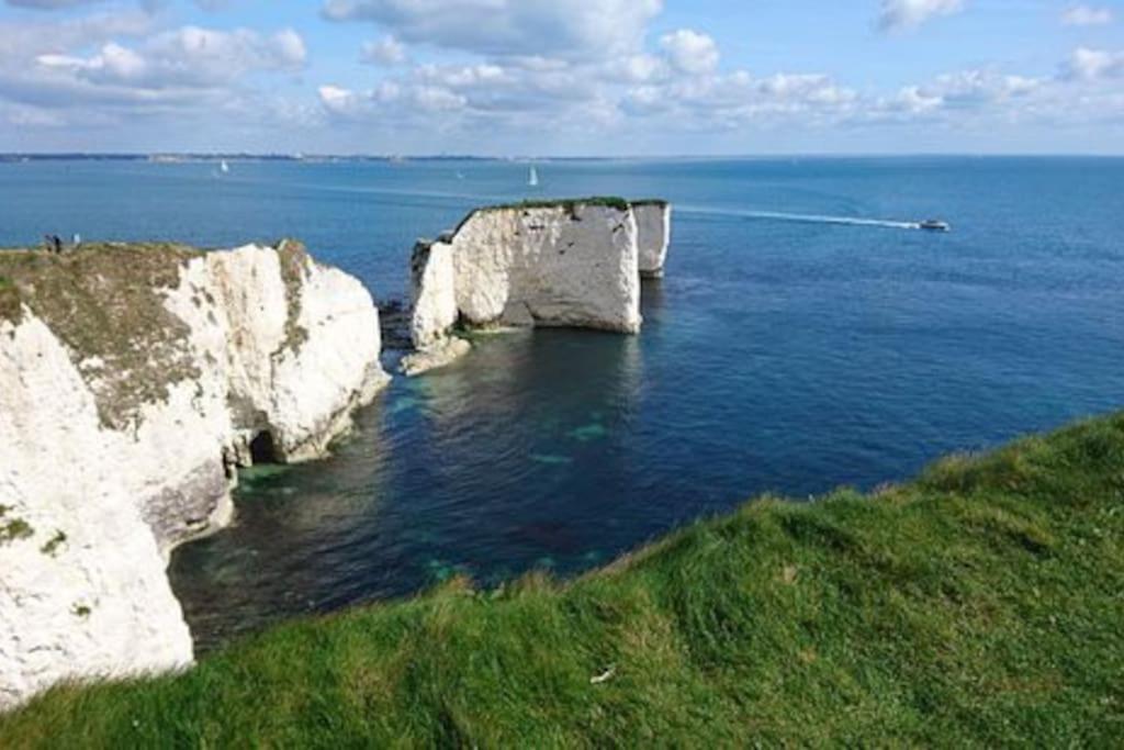 In Dorset, Near Jurassic Coast And Arne Wareham